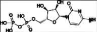 Cytidine Diphosphate