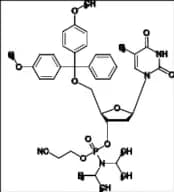 Cytidine Related Compound 1