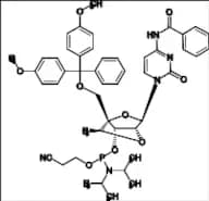 Cytidine Related Compound 2