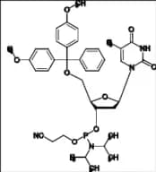 Cytidine Related Compound 6