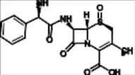 Cephalexin S-Sulfoxide