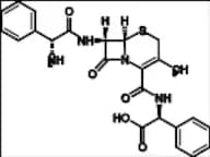 Cephalexin Phenylglycin