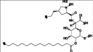 Clindamycin Impurity 48 HCl