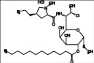 Clindamycin Laurate HCl