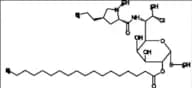 Clindamycin Stearate HCl
