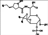 Isopropylidene Clindamycin Phosphate