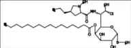 Clindamycin 4-Palmitate