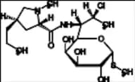 Clindamycin (Clindamycin Phosphate EP Impurity E)