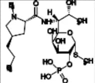 Clindamycin Phosphate EP Impurity F