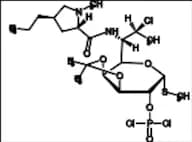 Clindamycin Phosphate Impurity 1