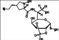 Clindamycin Phosphate Impurity 8