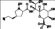 Clindamycin Impurity 25 (Sulfone)