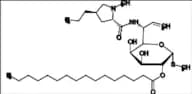 Clindamycin Impurity 26