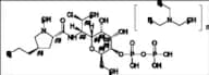 Clindamycin Pyrophosphate Triethylamine salt
