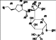 Clindamycin Impurity 28