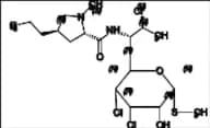 Clindamycin Impurity 44