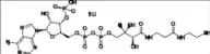 Coenzyme A Trilithium Salt