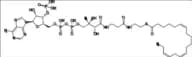 Stearidonoyl-coenzyme A (Stearidonoyl CoA)