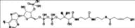 cis-2-Hexenoic Acid-Coenzyme A