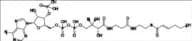 trans-2-Hexenoic Acid-Coenzyme A