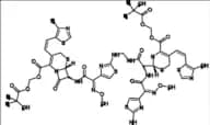 Cefditoren impurity 10, ring open dimer