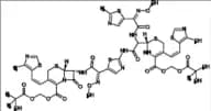 Cefditoren Dimer Impurity P16