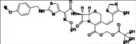 Cefditoren Impurity 16