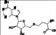 S-Adenosyl-L-Homocysteine-15N4