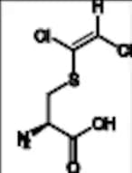 S-(1,2-Dichlorovinyl)-Cysteine