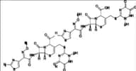 Ceftriaxone Impurity 15