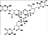 Ceftriaxone Impurity 21