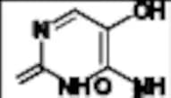 5-Hydroxycytosine