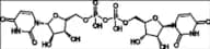 Diquafosol Impurity 1 Disodium Salt