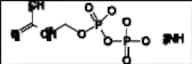 Isopentenyl Diphosphate-2-13C Ammonium Salt