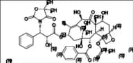 Docetaxel Metabolite M4