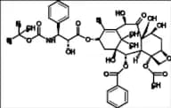 19-Hydroxy-Docetaxel