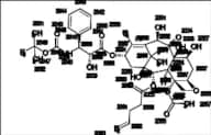 2-Debenzoyl-2-Pentenoyl Docetaxel