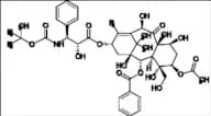 Docetaxel Impurity 46