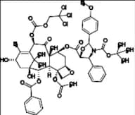 Docetaxel Impurity 58