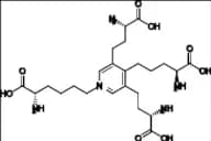 Desmosine Chloride