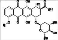 epi-Daunorubicin