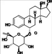 6-α-Hydroxy Estradiol 6-O-Glucuronide