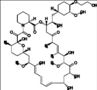 Everolimus