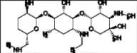 Etimicin Impurity 5