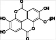 3-O-Methylellagic Acid