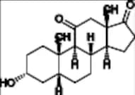 11-Oxo Etiocholanolone