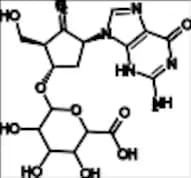 Entecavir Glucuronide