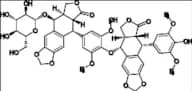 Etoposide Impurity 2