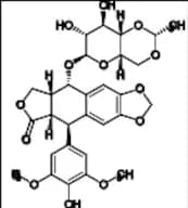 Etoposide