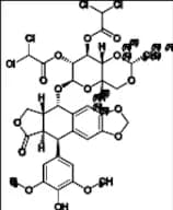 2'',3''-Bis-O-(Dichloroacetyl) Etoposide